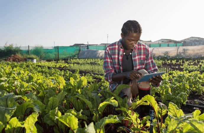 Data and Digital Landscape in Kenya's Agricultural Sector